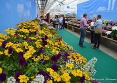 A peek into the colourfull presentation of Danziger